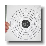 Bersa 380 Target 5 shot