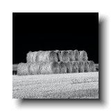 Straw Bales Black&White