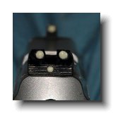 Taurus Rear Sight Mod