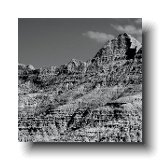 Toadstool Park B&W 2