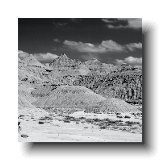 Taodstool Park  B&W